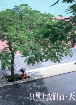 海报背景