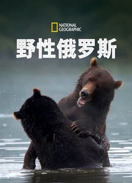 海报背景